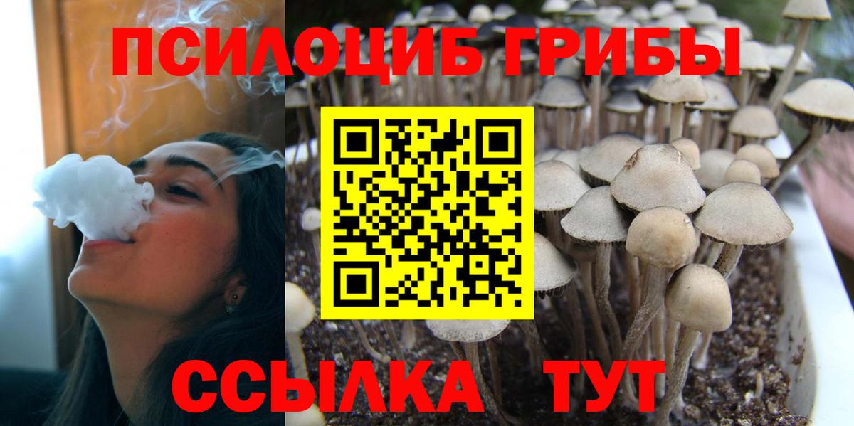 Галлюциногенные грибы мицелий  Вход с VPN  Псилоцибиновые грибы Psilocybine cubensis  Рязань 
